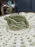 Wade Sea Turtle (Endangered Series)