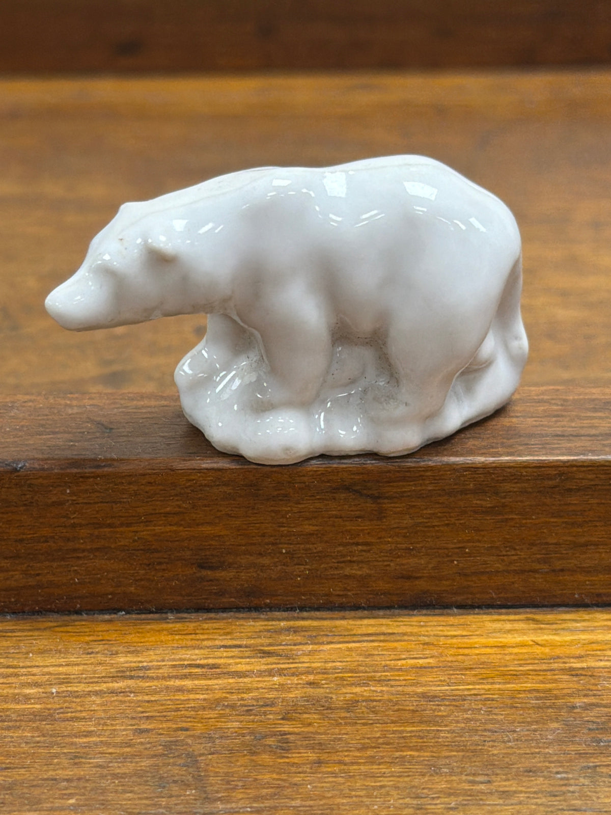 Wade Polar Bear (Endangered Series)