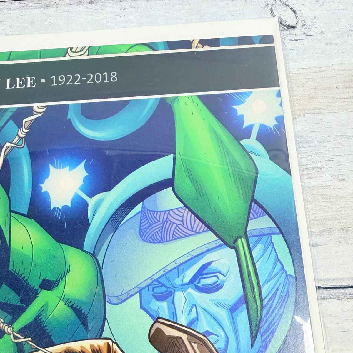 Amazing Spider-Man #13 (2019), Ryan Ottley regular cover with Stan Lee memorial trade dress: upper-right front detail of the actual pre-owned copy.