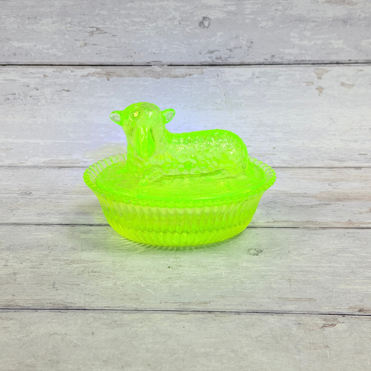 Boyd vaseline glass lamb on nest dish glowing bright green under UV light