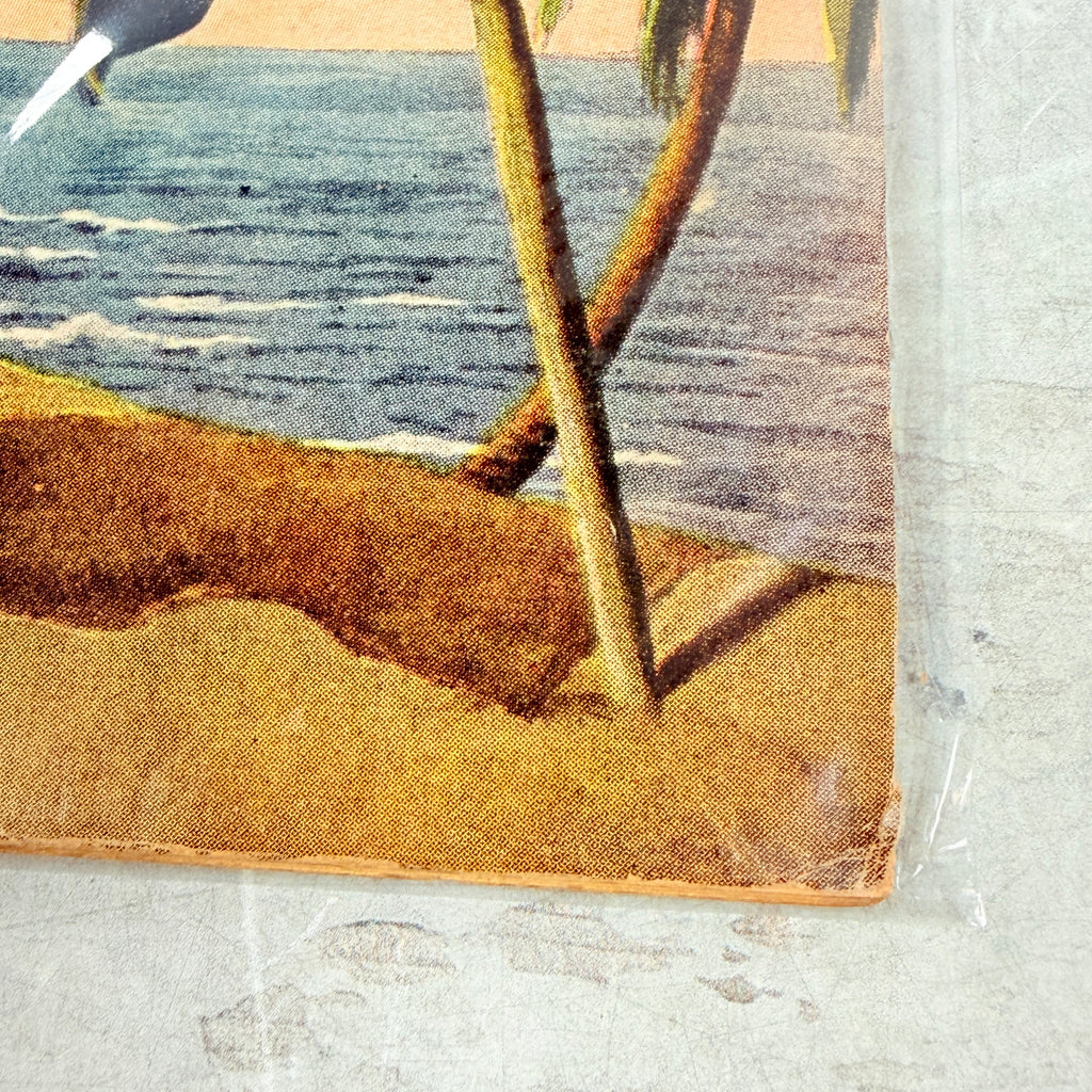Classics Illustrated #64 Treasure Island HRN 167 reprint, lower-right cover detail