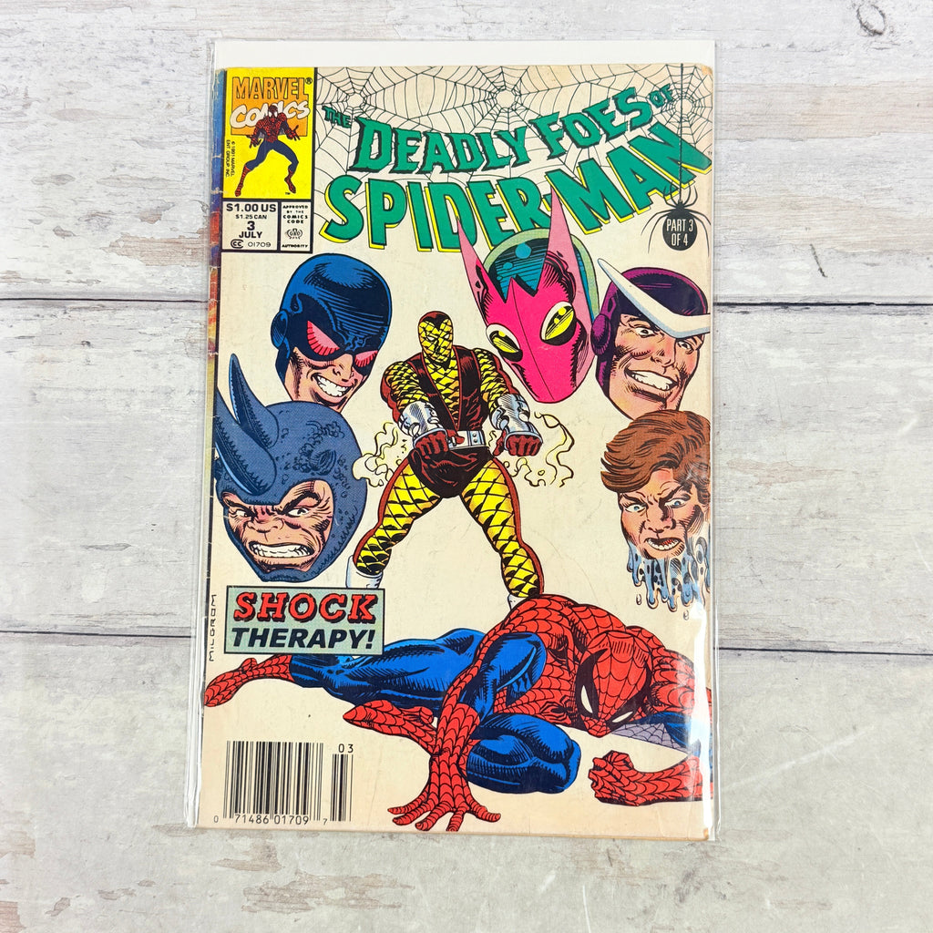 Deadly Foes of Spider-Man #3 (1991) Marvel Comics, full front cover