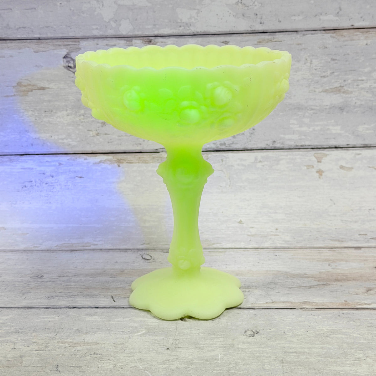 Fenton Cabbage Rose custard glass compote showing a bright green glow under ultraviolet light