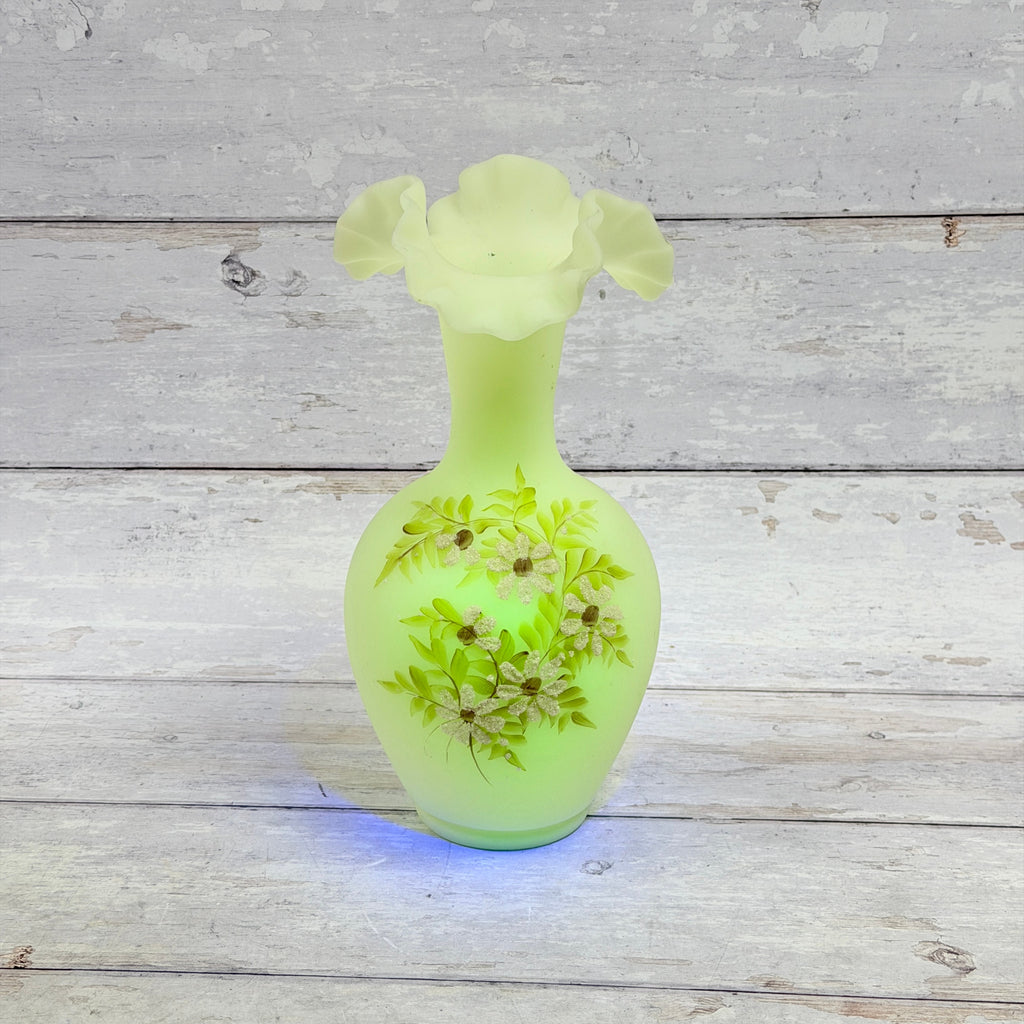 Fenton Daisies on Custard ruffled vase showing green fluorescence under ultraviolet light