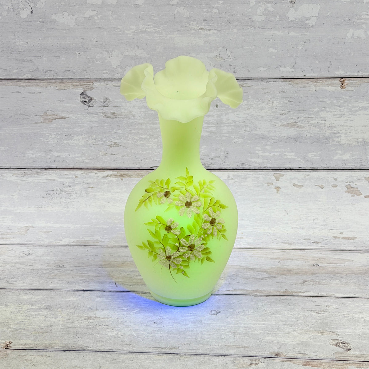 Fenton Daisies on Custard ruffled vase showing green fluorescence under ultraviolet light