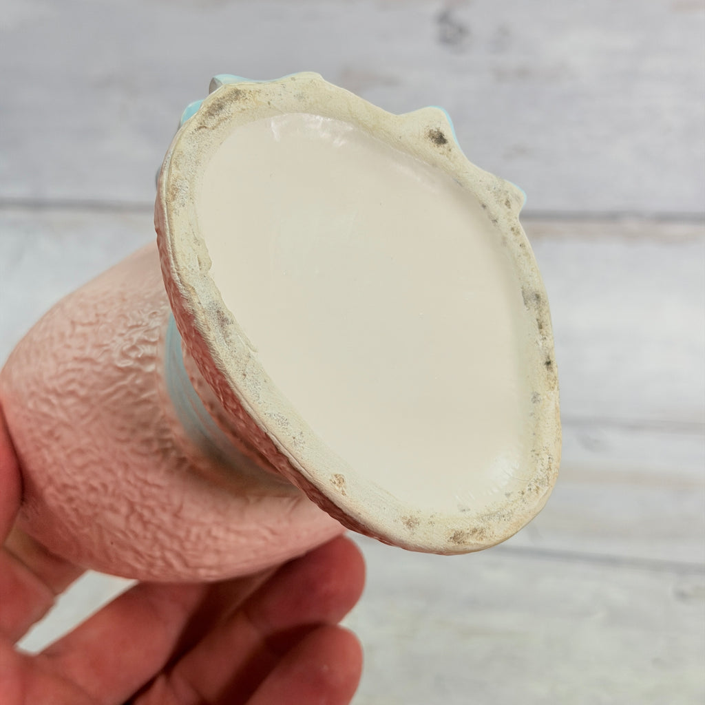 Underside showing base edge discoloration