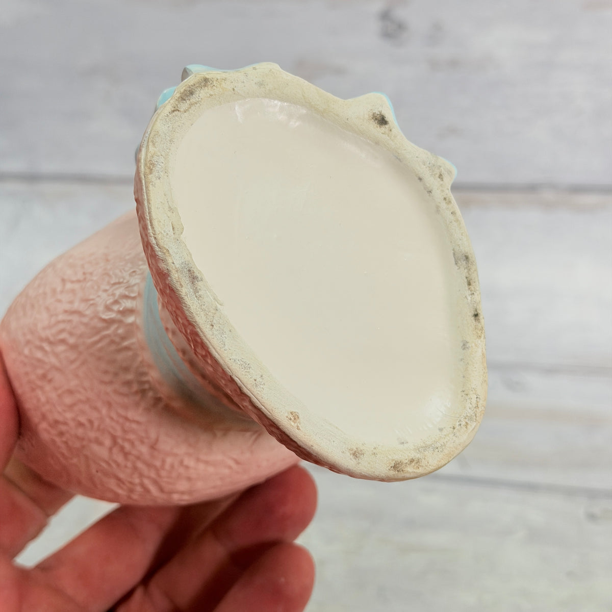 Underside showing base edge discoloration