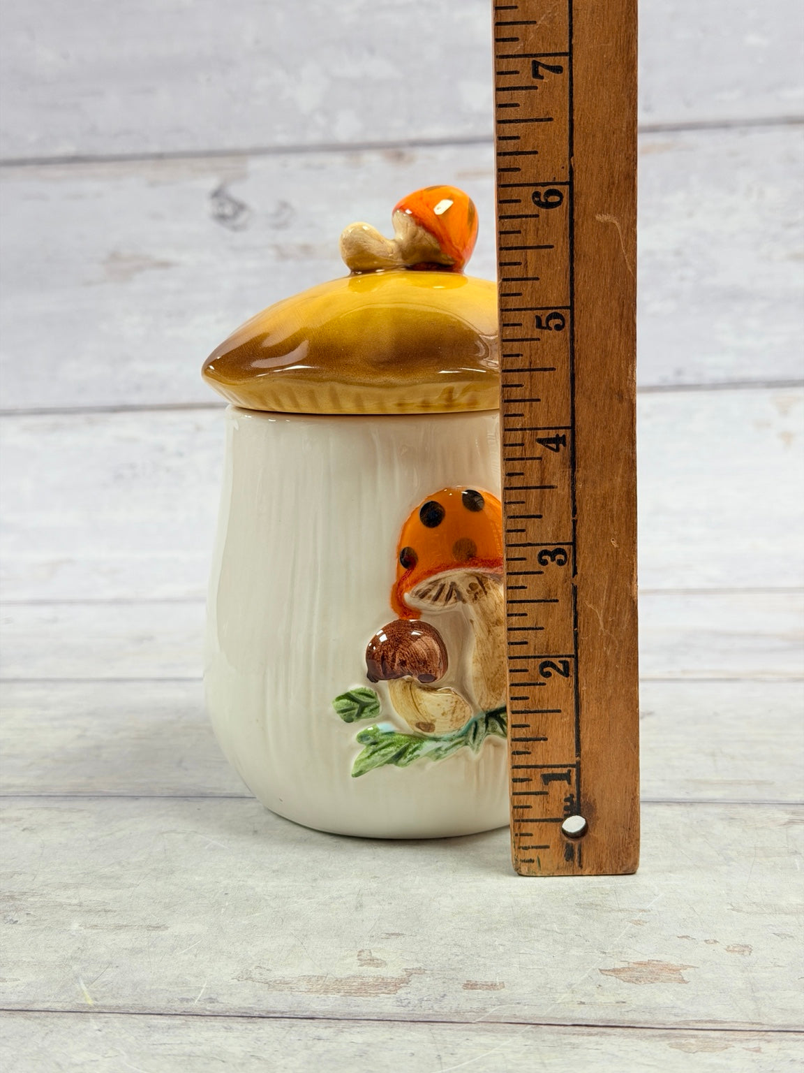 Canister shown beside ruler, approximately 7 inches tall