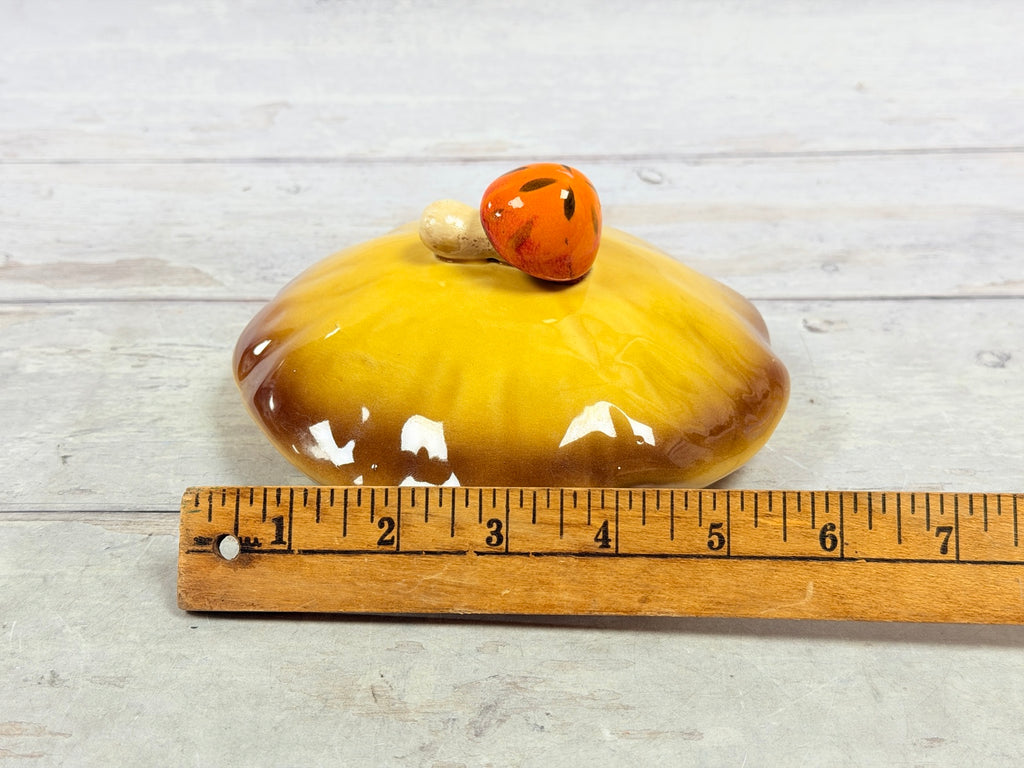 Lid shown beside ruler, approximately 7.5 inches across