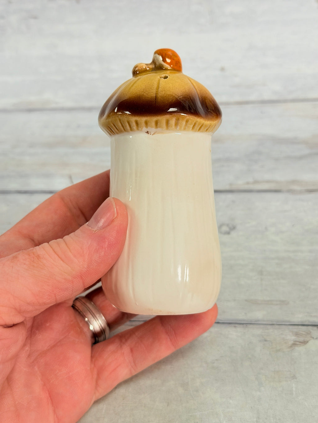 SR21. Sears Merry Mushroom Spice Shaker – Vintage Japan Ceramic Kitchenware SR21