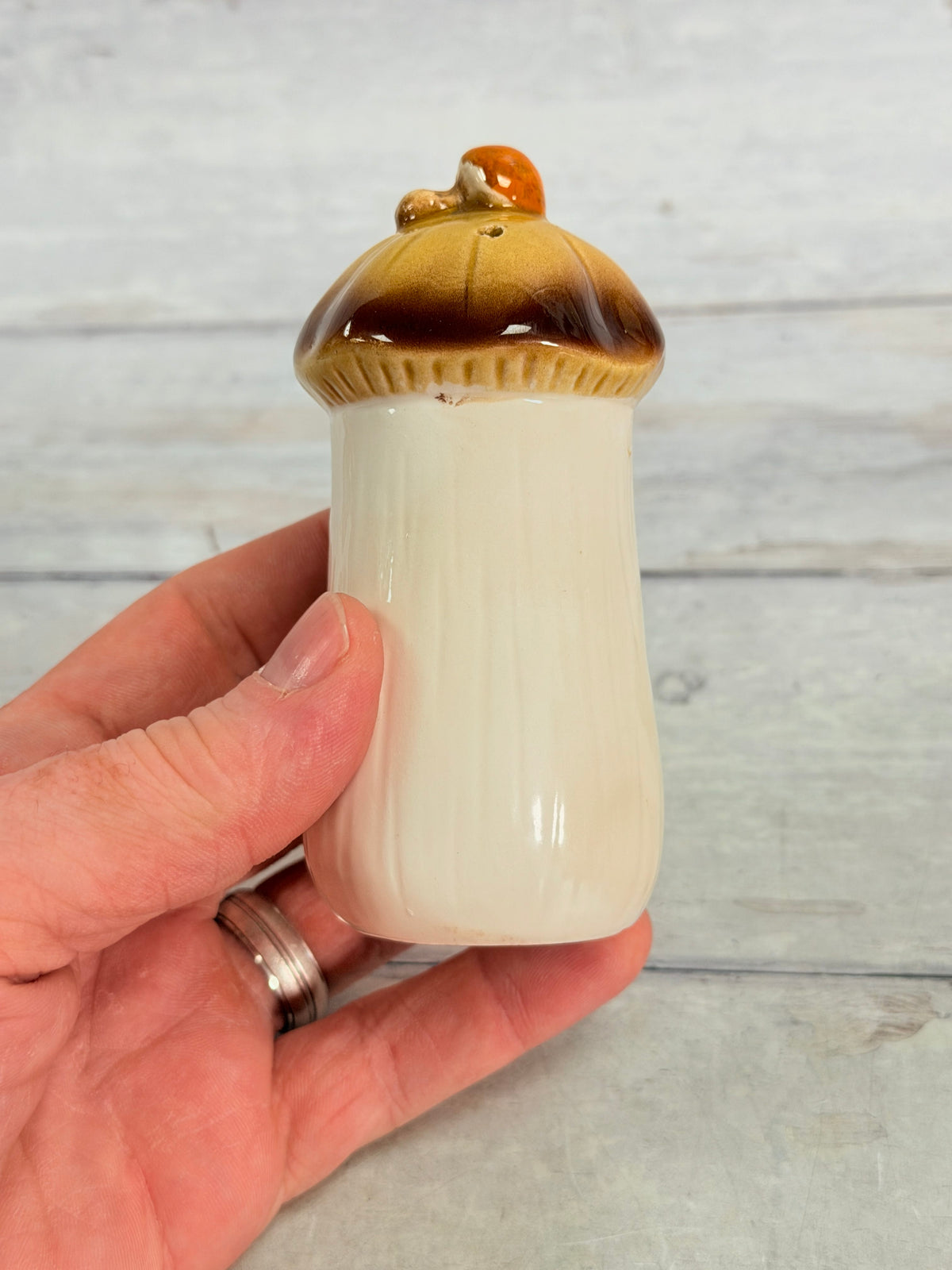 SR21. Sears Merry Mushroom Spice Shaker – Vintage Japan Ceramic Kitchenware SR21