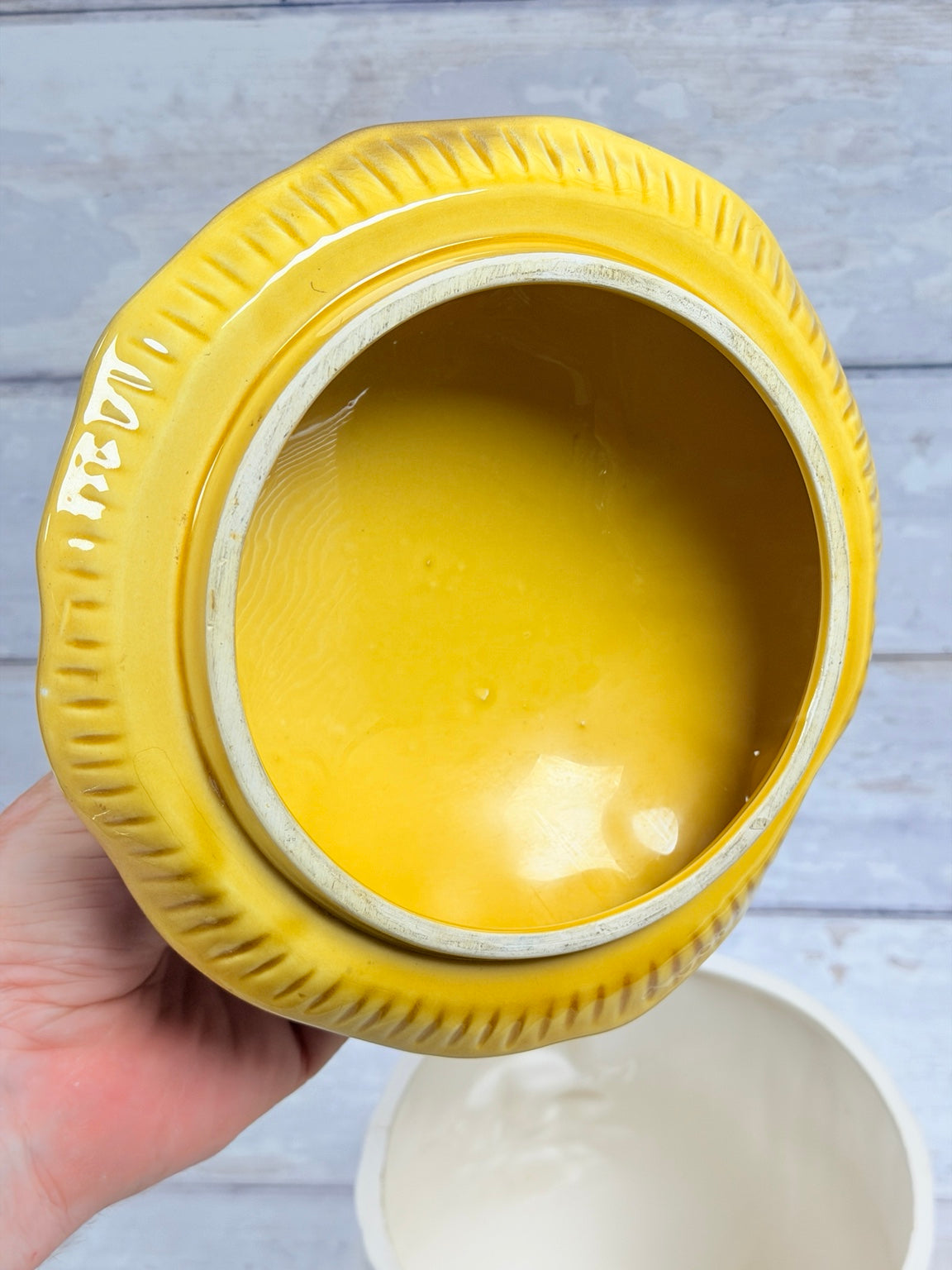 Interior and underside of removable lid on vintage mushroom canister
