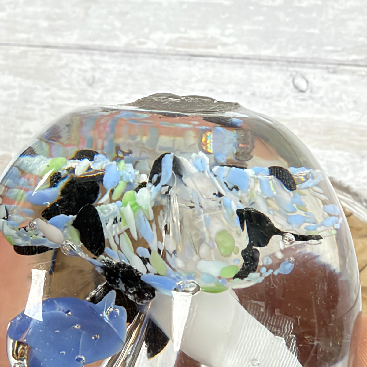 Blue, White and Black Floral Bubble Glass Paperweight, close-up of surface or underside; display props not included
