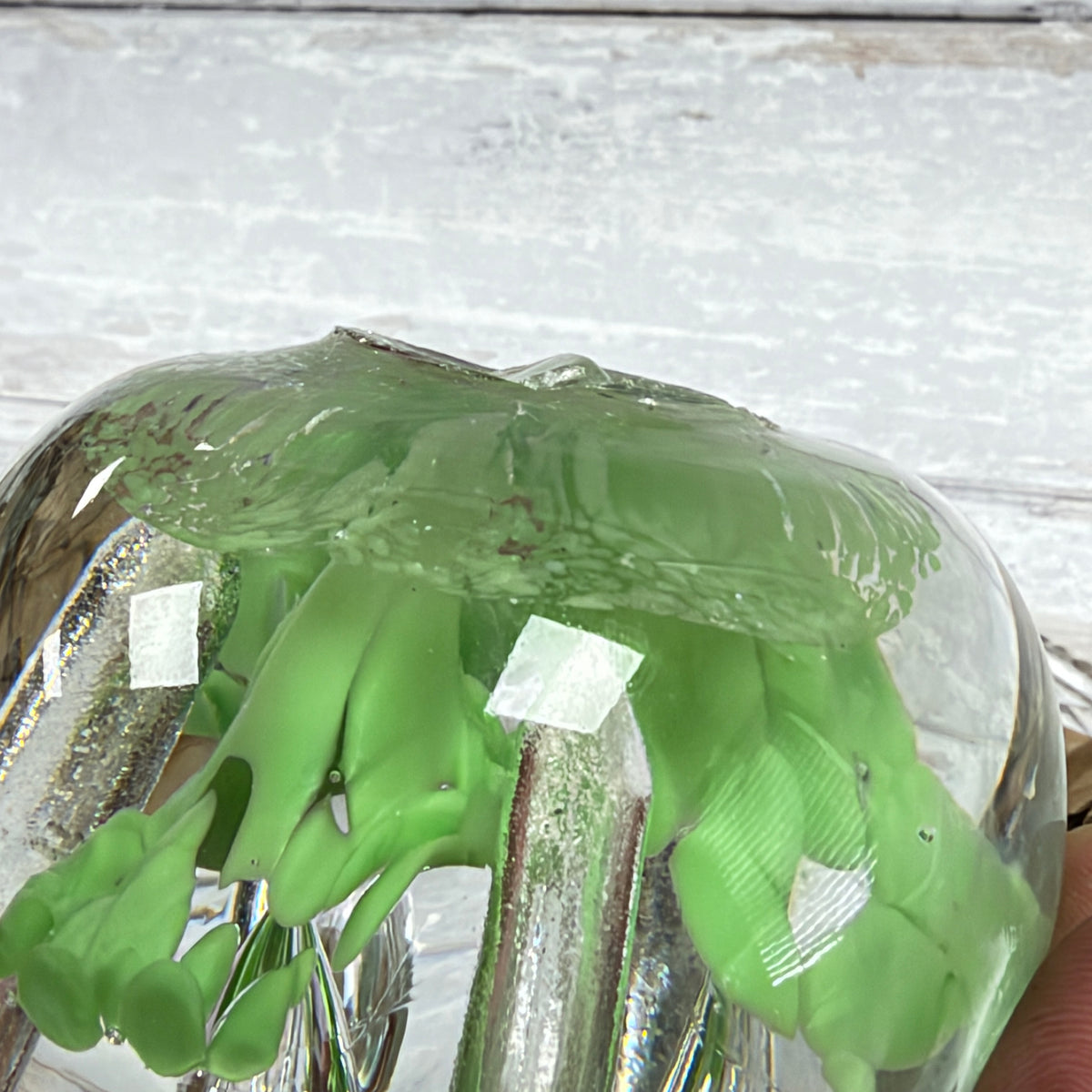 Lime Green Floral Controlled-Bubble Glass Paperweight, close-up of surface or underside; display props not included