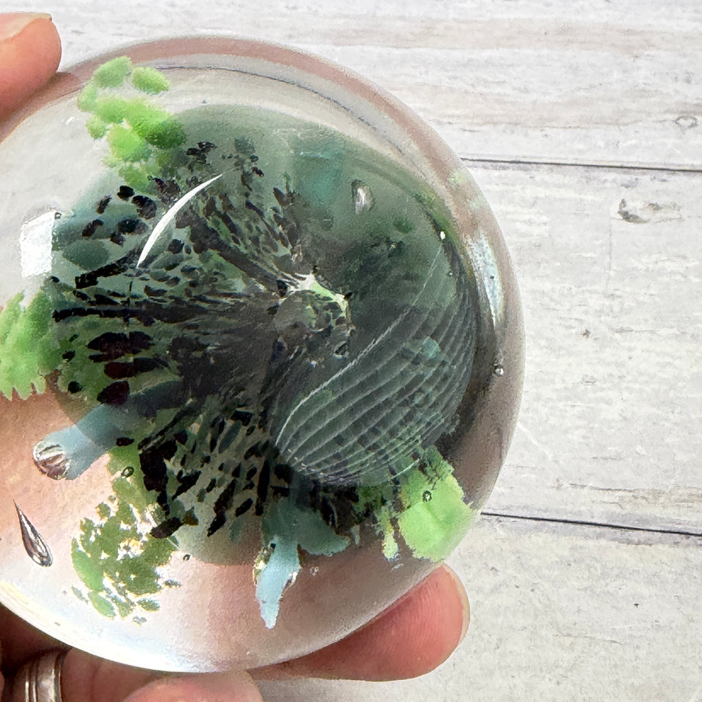 Lime Green and Pale Blue Controlled-Bubble Glass Paperweight, underside and condition detail
