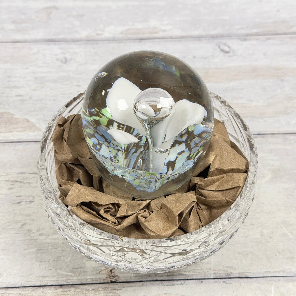 White trumpet-flower glass paperweight with blue and green frit, elevated front view; display bowl not included